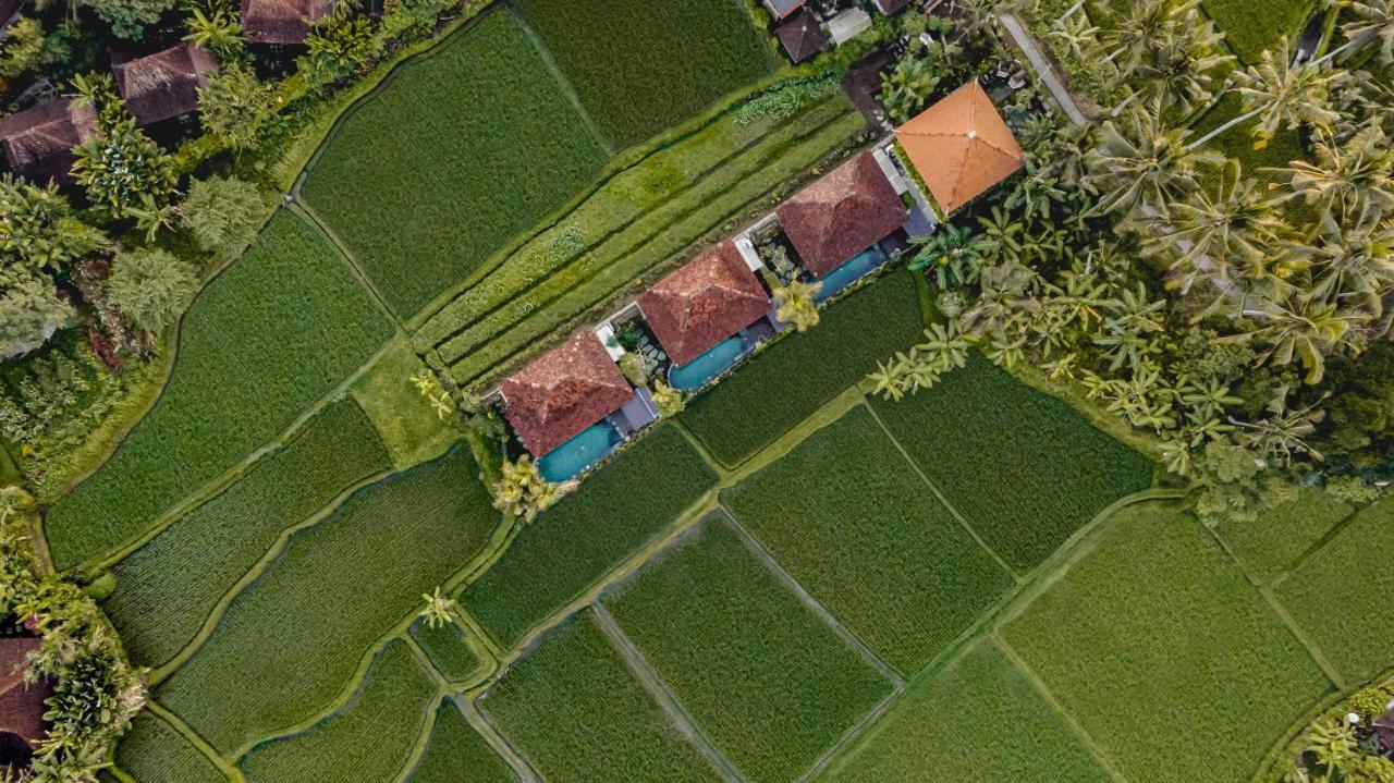 Airsania Ubud Antique Villas Екстер'єр фото